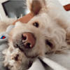tamtle0519